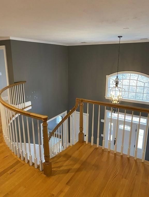 18 Saddlebrook, Wayland, MA 01778 — leased by Jenna Levin